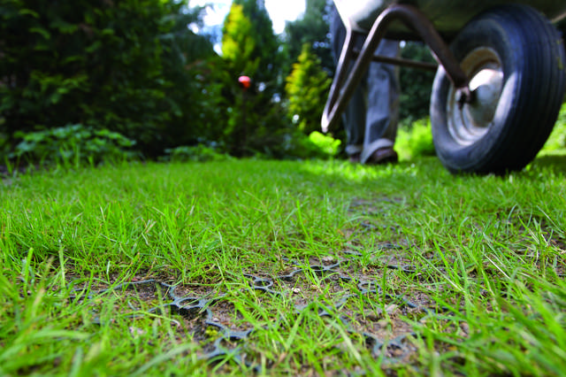 Græsarmering 586x386 mm